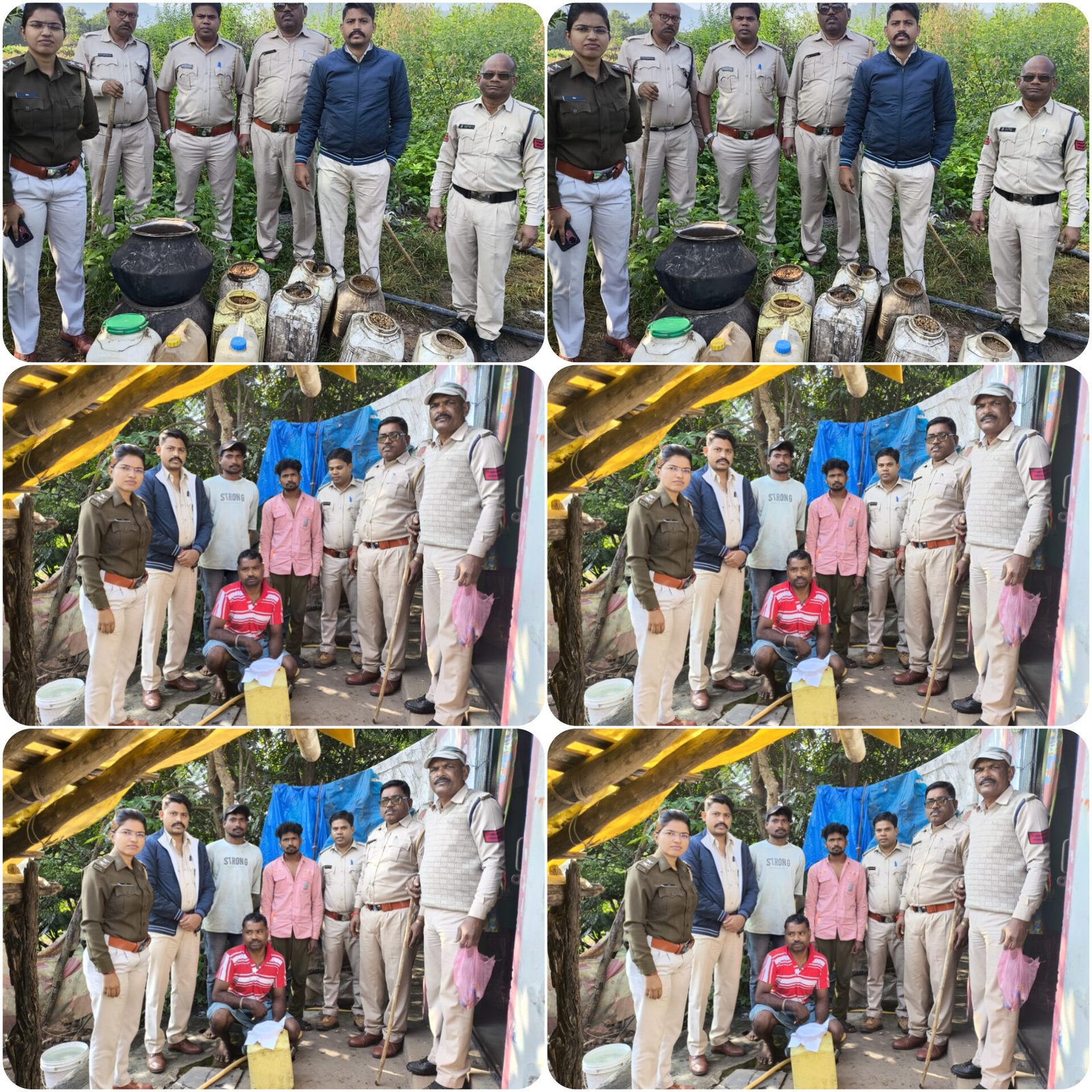 InShot 20251115 190129746