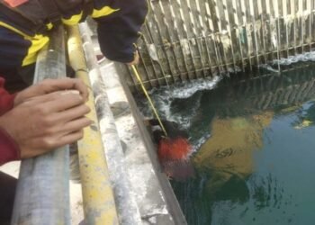 नहर में डूबे व्यक्ति का शव बरामद