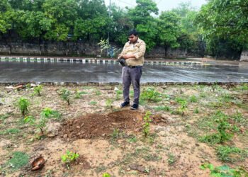 रायपुर : नई दिल्ली में ‘एक पेड़ माँ के नाम’ अभियान के तहत छत्तीसगढ़ जनसंपर्क विभाग का वृक्षारोपण