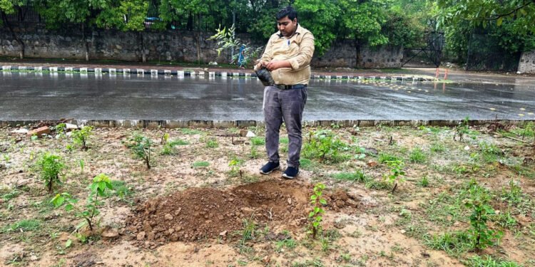 रायपुर : नई दिल्ली में ‘एक पेड़ माँ के नाम’ अभियान के तहत छत्तीसगढ़ जनसंपर्क विभाग का वृक्षारोपण