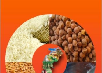 रायपुर : 70 लाख राशन कार्डधारियों ने किया नवीनीकरण के लिए ऑनलाइन आवेदन