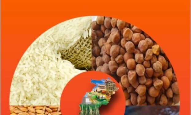 रायपुर : 70 लाख राशन कार्डधारियों ने किया नवीनीकरण के लिए ऑनलाइन आवेदन