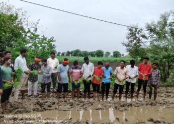 किचड़ से जीवन दुभर, प्रशासन के मौन रवैया का किया पलानसरीवासियों ने रोपा लगाकर जताया विरोध