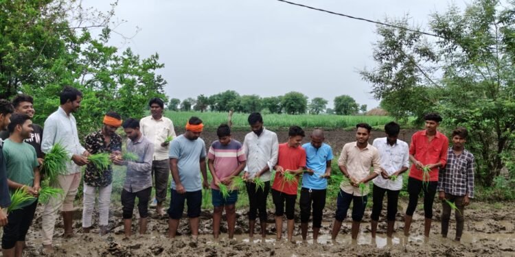 किचड़ से जीवन दुभर, प्रशासन के मौन रवैया का किया पलानसरीवासियों ने रोपा लगाकर जताया विरोध