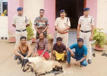 भेड़ चोरी करने वाले 04 आरोपियों को थाना कुकदुर पुलिस ने किया गिरफ्तार।