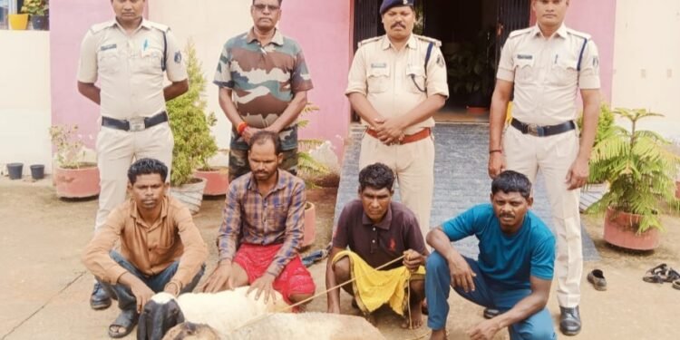 भेड़ चोरी करने वाले 04 आरोपियों को थाना कुकदुर पुलिस ने किया गिरफ्तार। 1 भेड़ चोरी करने वाले 04 आरोपियों को थाना कुकदुर पुलिस ने किया गिरफ्तार।