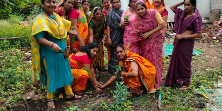 जिला कबीरधाम के महिला संगम समिति ने विभिन्न स्थानों पर किया पौधारोपण 1 जिला कबीरधाम के महिला संगम समिति ने विभिन्न स्थानों पर किया पौधारोपण