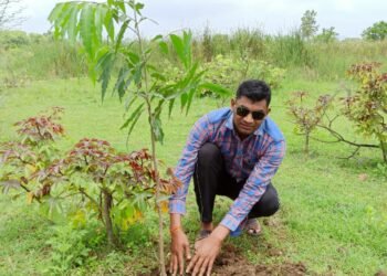 एक पेड़ मां के नाम अभियान: RJ छत्तीसगढ़ NEWS के संपादक ऋषिकांत कुंभकार ने मुक्तिधाम में रोपे फलदार एवं छायादार पौधे*