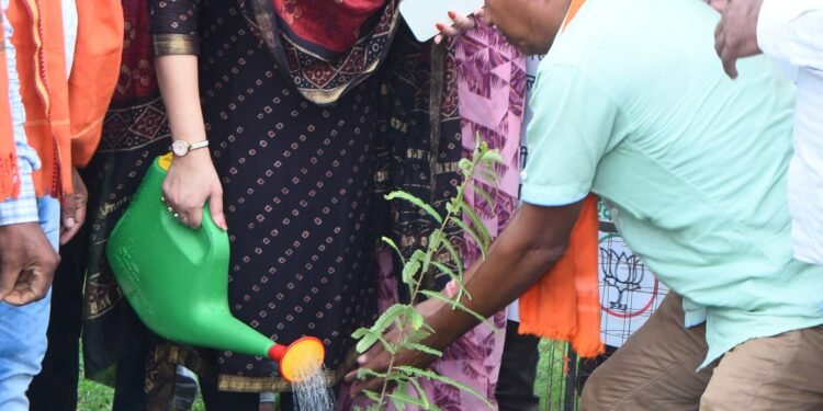 *एक पेड़ माँ के नाम अभियान के तहत पंडरिया विधानसभा में लगाएं जाएंगे 51,000 पौधे,विधायक भावना बोहरा ने शुरू की मुहिम*