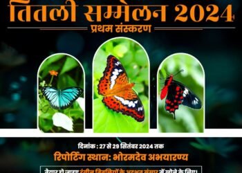 भोरमदेव अभ्यारण में 28 से 29 सितंबर तक तितली सर्वे का आयोजन किया जाएगा