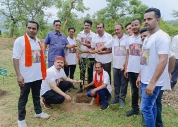 पंचमुखी बूढ़ा महादेव मंदिर से भोरमदेव मंदिर मार्ग पर एक-पेड़ मॉं-के-नामPlant4Mother अभियान के तहत सड़क किनारे किया गया वृक्षारोपण 1 पंचमुखी बूढ़ा महादेव मंदिर से भोरमदेव मंदिर मार्ग पर एक-पेड़ मॉं-के-नामPlant4Mother अभियान के तहत सड़क किनारे किया गया वृक्षारोपण