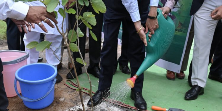 रायपुर : ‘एक पेड़ मां के नाम’ पर राज्यपाल  रमेन डेका ने लगाया कचनार का पौधा