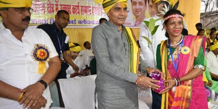 रायपुर : मेहनतकश आदिवासी समाज की सहज और सरल संस्कृति अन्य समाज के लिए आकर्षण का केंद्र : राजस्व मंत्री  वर्मा