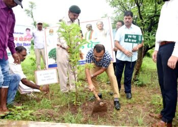 महतारी वंदन योजना के लाभार्थी लगाएंगे एक पेड़ मां के नाम कबीरधाम जिले में ढाई लाख पौधे