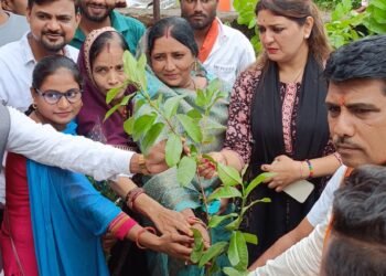 भावना बोहरा, विधायक पंडरिया के द्वारा ‘‘एक पेड़ मॉं के नाम‘‘ वृक्षारोपण महाअभियान के तहत् किया गया वृक्षारोपण
