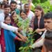 भावना बोहरा, विधायक पंडरिया के द्वारा ‘‘एक पेड़ मॉं के नाम‘‘ वृक्षारोपण महाअभियान के तहत् किया गया वृक्षारोपण