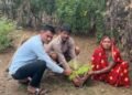हरेली तिहार के अवसर पर ज़िले में हुआ वृहद वृक्षारोपण