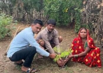 हरेली तिहार के अवसर पर ज़िले में हुआ वृहद वृक्षारोपण