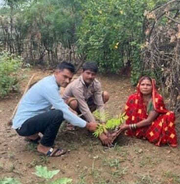 हरेली तिहार के अवसर पर ज़िले में हुआ वृहद वृक्षारोपण 1 हरेली तिहार के अवसर पर ज़िले में हुआ वृहद वृक्षारोपण