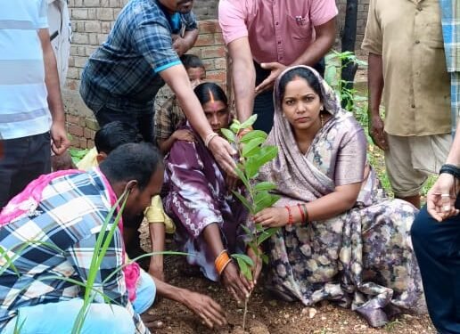 पंडरिया पूर्व परिक्षेत्र अंतर्गत स्थानीय जनप्रतिनिधि के द्वारा ‘‘एक पेड़ मॉं के नाम‘‘ वृक्षारोपण महाअभियान के तहत्  महतारी वंदन योजना एवम प्रधानमंत्री आवास योजना (ग्रामीण) के हितग्राहियों को पौधा प्रदाय कर वृक्षारोपण किया गया