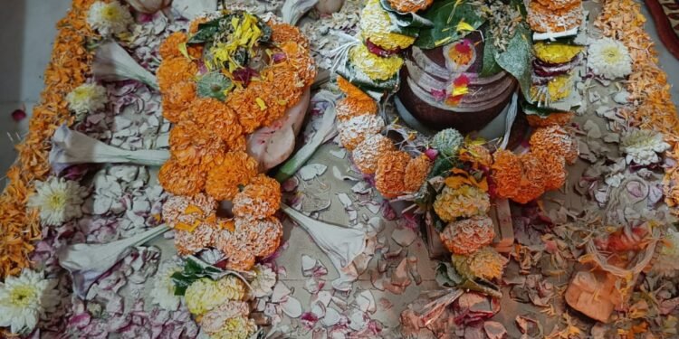पीपलेश्वर महादेव मंदिर से निकलेगा डाक बम  करपात्री चौक के तलाब पार में विराजमान  पिपलेश्वर महादेव मंदिर से सावन के पावन पर्व में इस वर्ष डाकबम निकाला जा रहा है