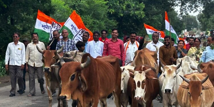 गौ सत्याग्रह कार्यक्रम के तहत कांग्रेस कार्यकर्ताओं ने किया प्रदर्शन