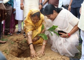 रायपुर : मंत्री  राजवाड़े एवं सांसद  जांगड़े ने ‘‘एक पेड़ मां के नाम अभियान’’ के तहत किया पौधरोपण