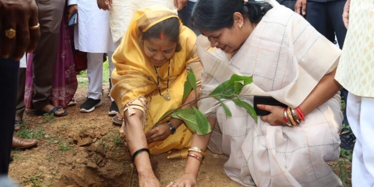रायपुर : मंत्री  राजवाड़े एवं सांसद  जांगड़े ने ‘‘एक पेड़ मां के नाम अभियान’’ के तहत किया पौधरोपण