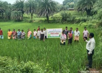 रायपुर:जिला प्रशासन के मार्गदर्शन में कृषि विभाग की अभिनव पहल