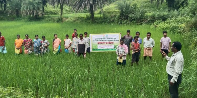 रायपुर:जिला प्रशासन के मार्गदर्शन में कृषि विभाग की अभिनव पहल