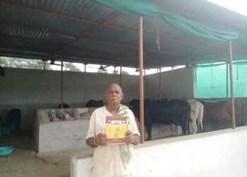 सफलता की कहानी : पशु शेड का निर्माण कर गऊ पालक बने व्यवसाय