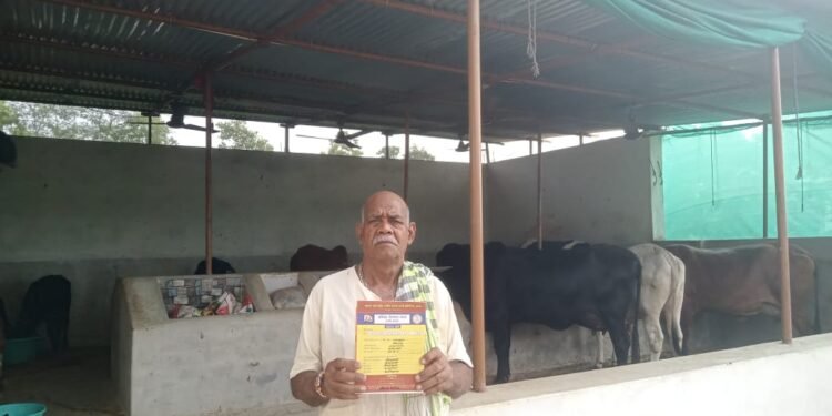 सफलता की कहानी : पशु शेड का निर्माण कर गऊ पालक बने व्यवसाय 1 सफलता की कहानी : पशु शेड का निर्माण कर गऊ पालक बने व्यवसाय