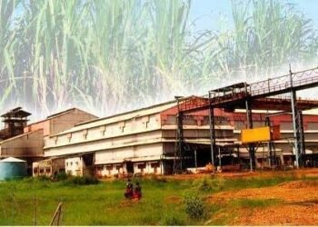 भोरमदेव सहकारी शक्कर कारखाना मर्यादित ने गन्ना किसानों को 6.52 करोड़  रुपए का  किया भुगतान