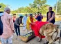 जनादेश परब मुख्यमंत्री  विष्णुदेव साय के सुशासन में आयोजित गौ-पूजन और निःशुल्क पशु चिकित्सा शिविर