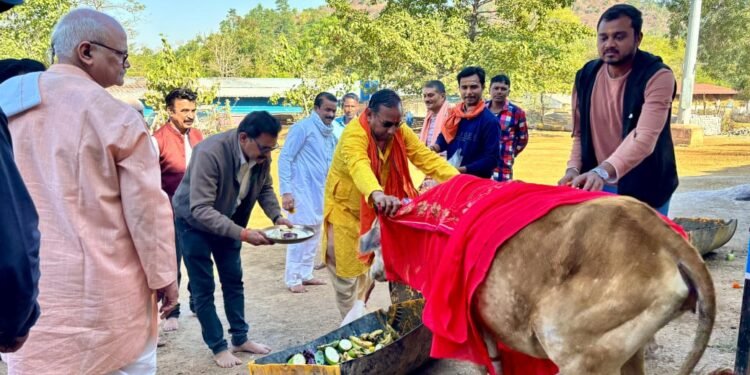 जनादेश परब मुख्यमंत्री  विष्णुदेव साय के सुशासन में आयोजित गौ-पूजन और निःशुल्क पशु चिकित्सा शिविर