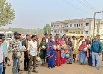 पटेल समाज ने शाकंभरी जयंती में किया सब्जी व फल वितरण