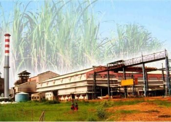 भोरमदेव शक्कर कारखाना ने गन्ना विक्रेता किसानों को अब तक 33 करोड़ रुपए का भुगतान किया।