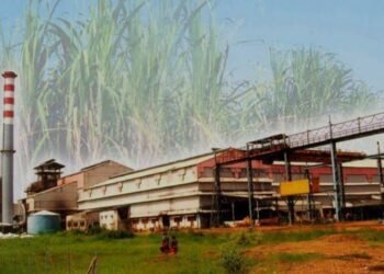 भोरमदेव शक्कर कारखाने ने अब तक गन्ना किसानों को 44 करोड़ 99 लाख रूपए का भुगतान किया।