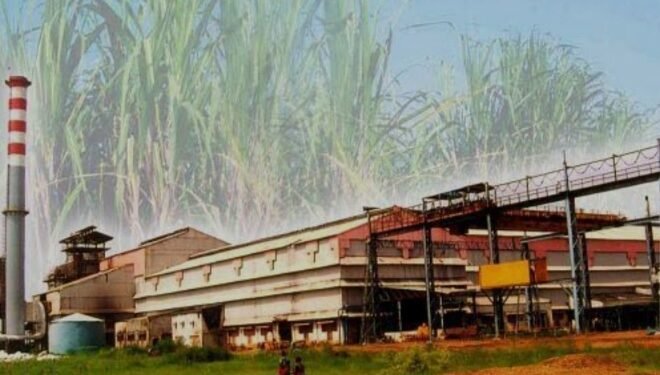 भोरमदेव शक्कर कारखाने ने अब तक गन्ना किसानों को 44 करोड़ 99 लाख रूपए का भुगतान किया।