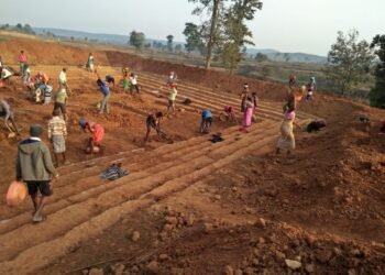 महात्मा गांधी नरेगा योजना में 1 अप्रैल 2025 से 261 रुपए का होगा मजदूरी भुगतान।