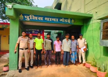 ग्राम पंचायत नादिया के आश्रित ग्राम बसावर में दिन रविवार को ग्राम बसावर से गौ तस्करों द्वारा 80 नग गाय , बैल और छोटे-छोटे बछड़े को एकत्रित करके उन्हें गौ तस्करों द्वारा M.P. ( मध्य प्रदेश ) बूचड़खाने ले जाया जा रहा था।